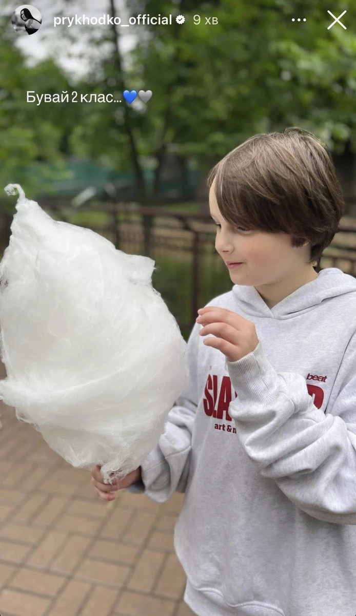 Син Анастасії Приходько