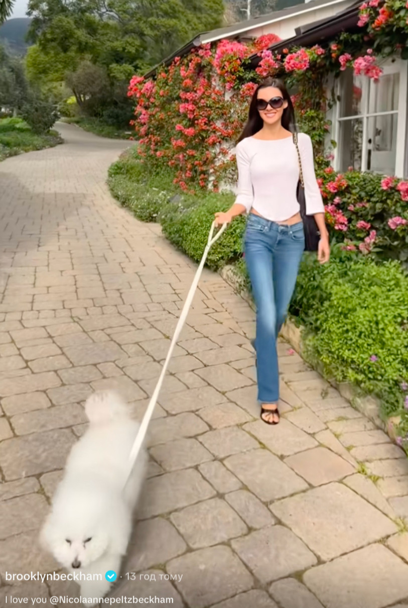 Старший син Бекхемів похвалився своєю дружиною на прогулянці з песиком
