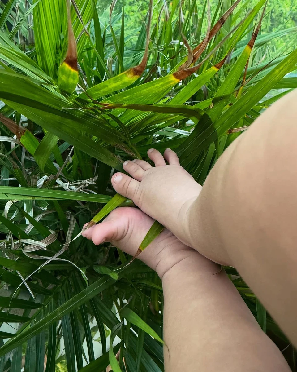 Син Нари Баптісти і Венсана Касселя