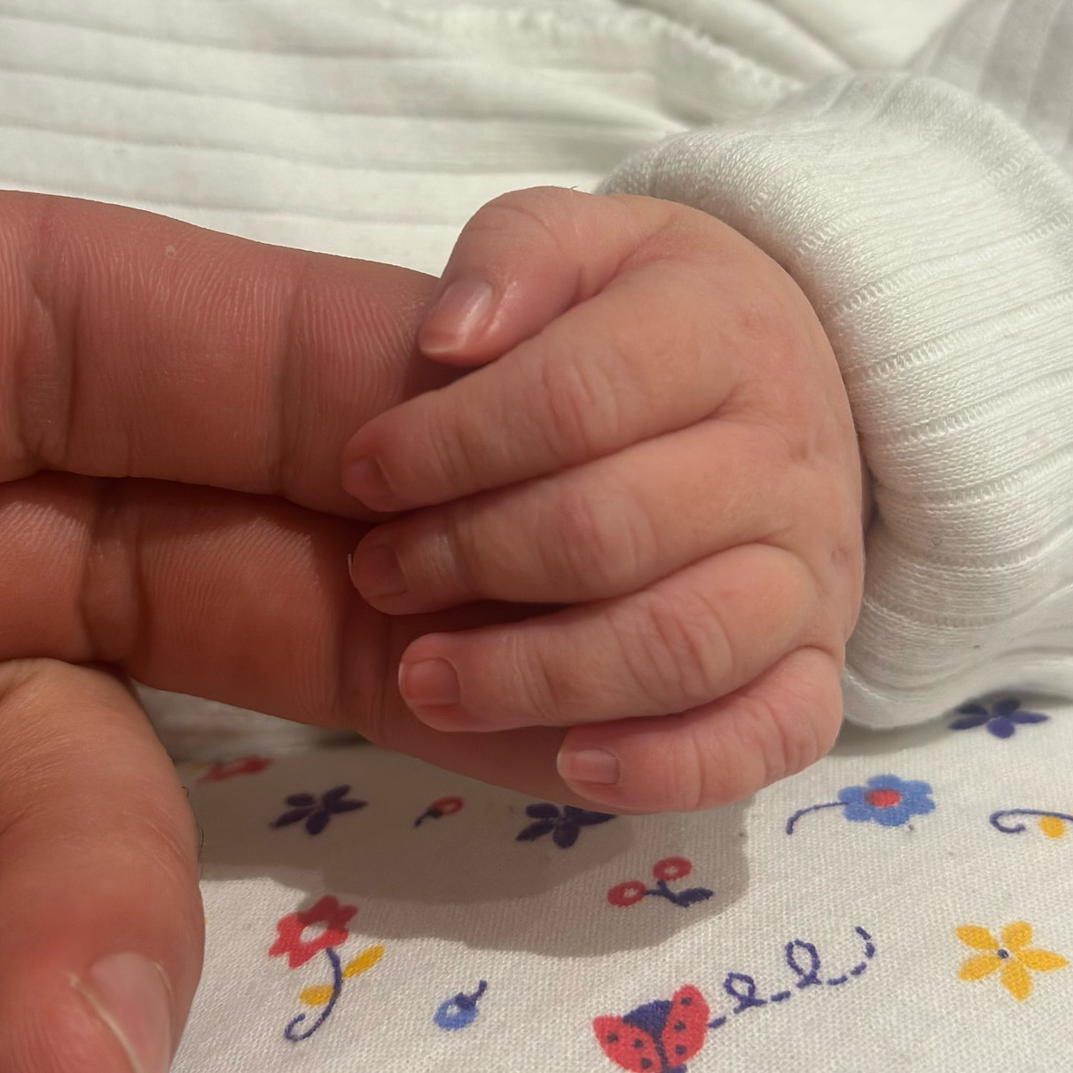 Синельников став батьком доньки