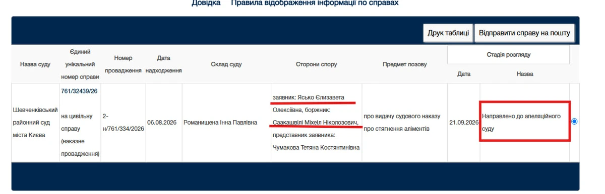Єлизавета Ясько судиться з Міхеілом Саакашвілі