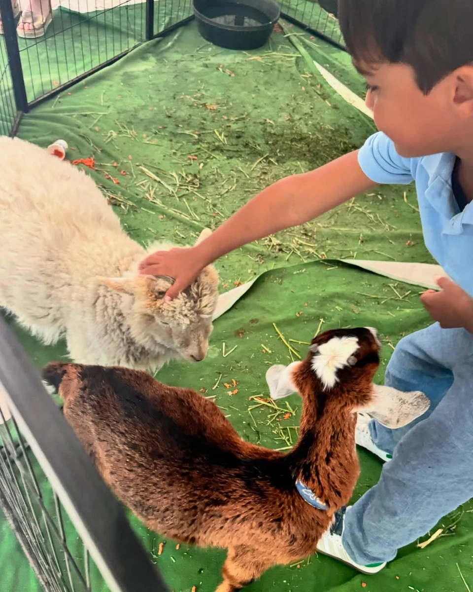 Син Джессіки Альби грається в зоопарку