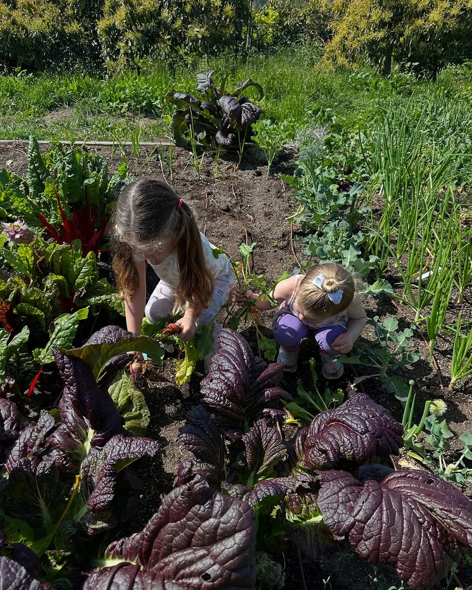 Донька Шварценеггера показала своїх доньок