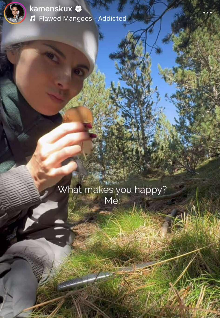 Каменських у лісі з грибами