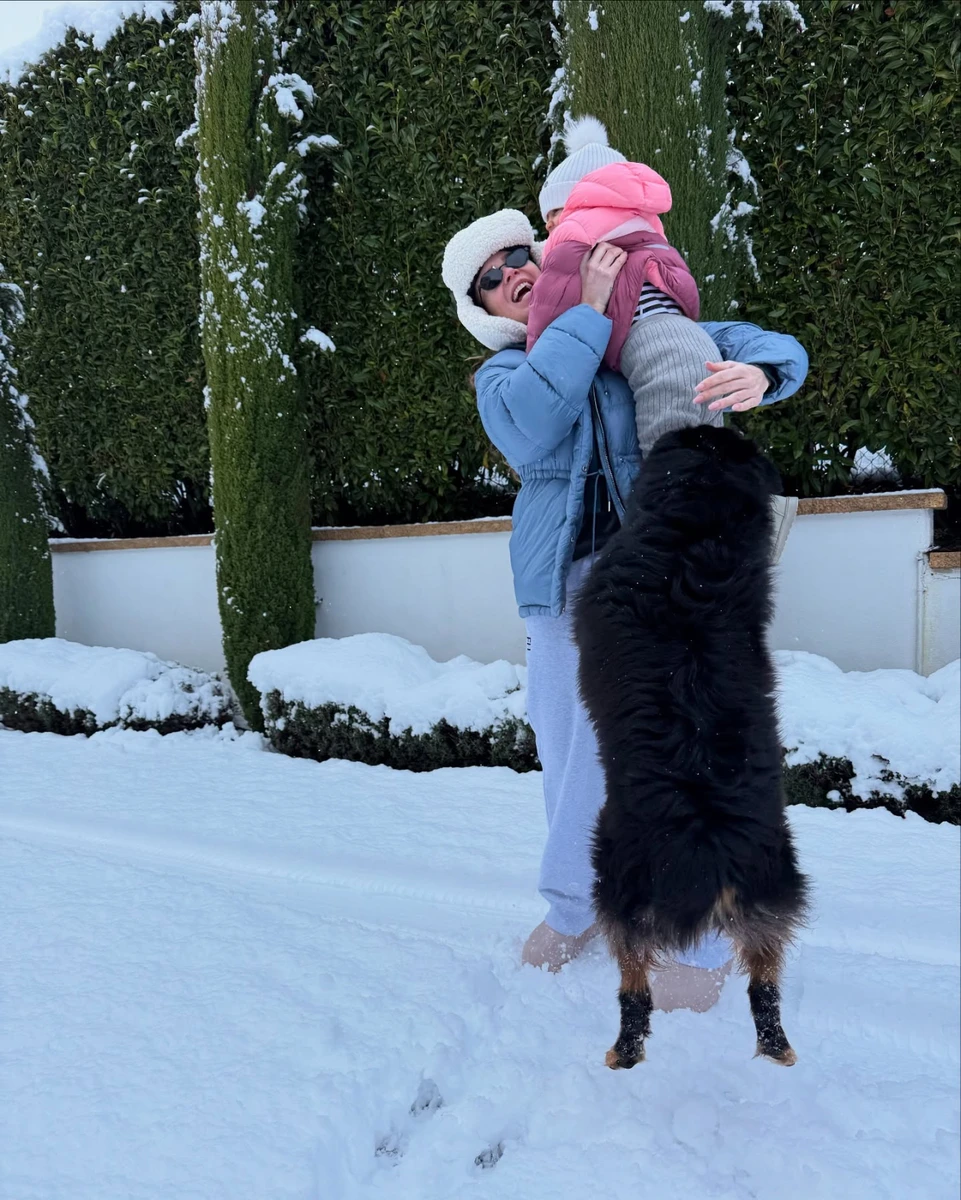 Собака теж вирішив долучитися