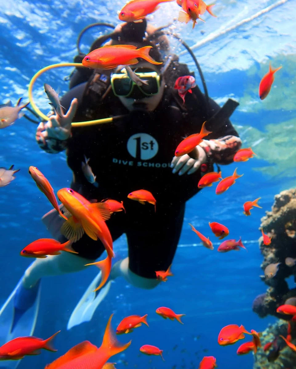 alyona alyona у відпустці зайнялась дайвінгом