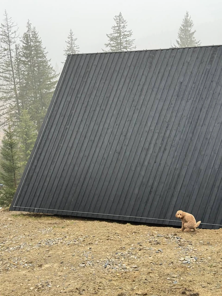 У листопаді песику породи лабрадудль виповнився рік