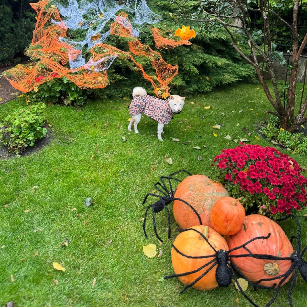 Ексспівачка взяла Луну ще у 2019-ому