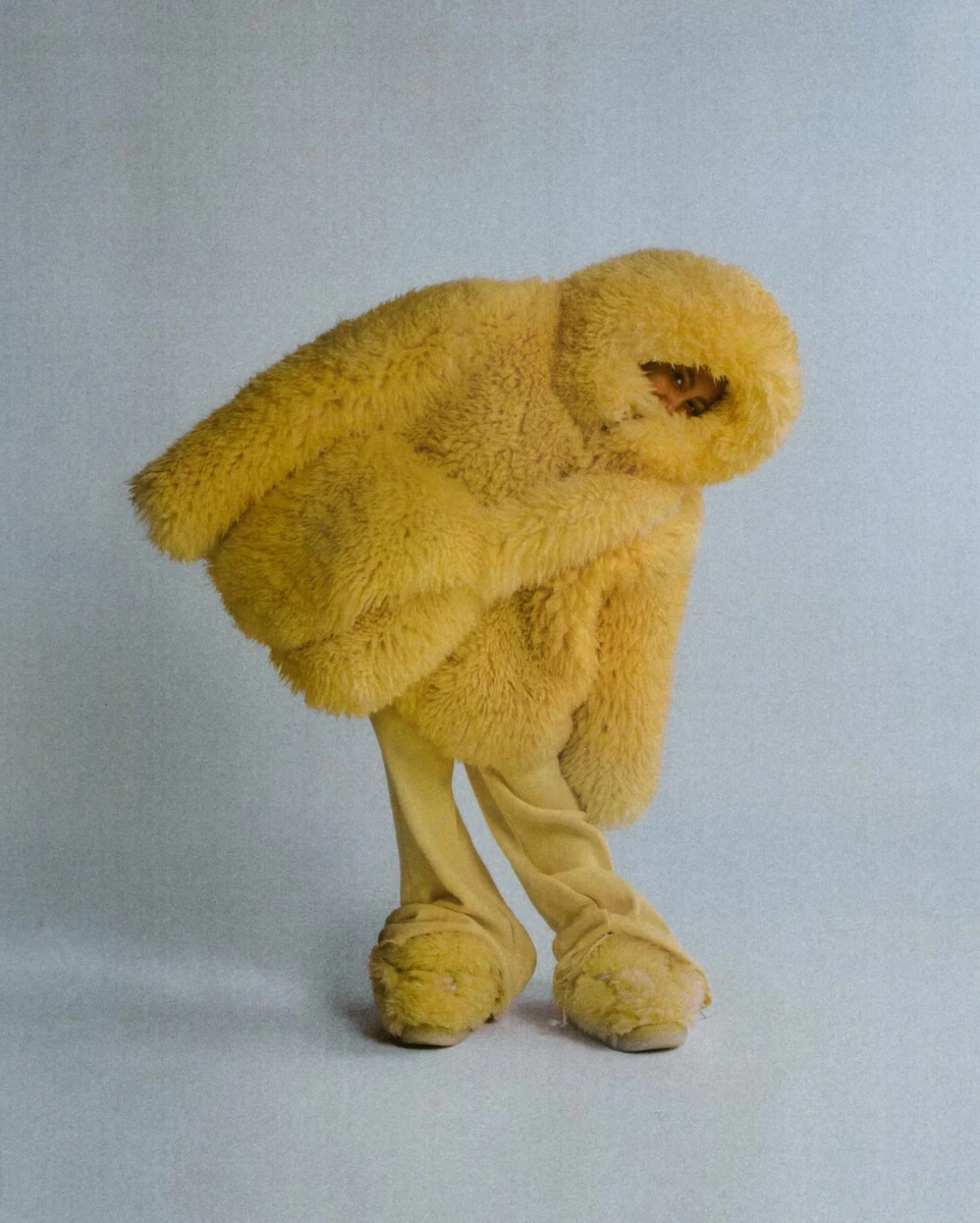 Щоб користувачі мережі зрозуміли, у кого саме вбрана Норт, Кардашян від дописом поставила смайлик левеняти