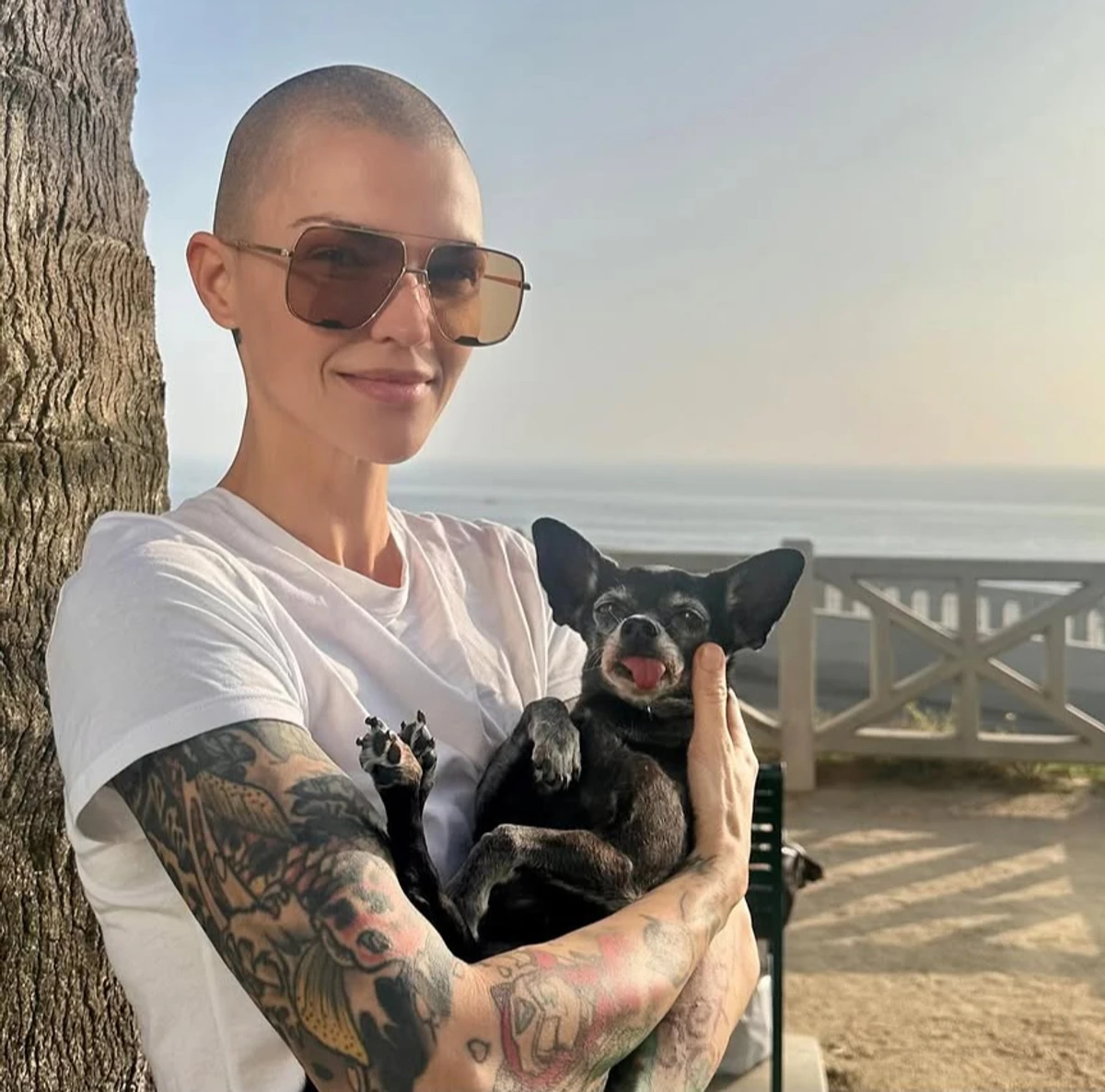 Поліція розглядає звинувачення Кеті Перрі у сексуальних домаганнях