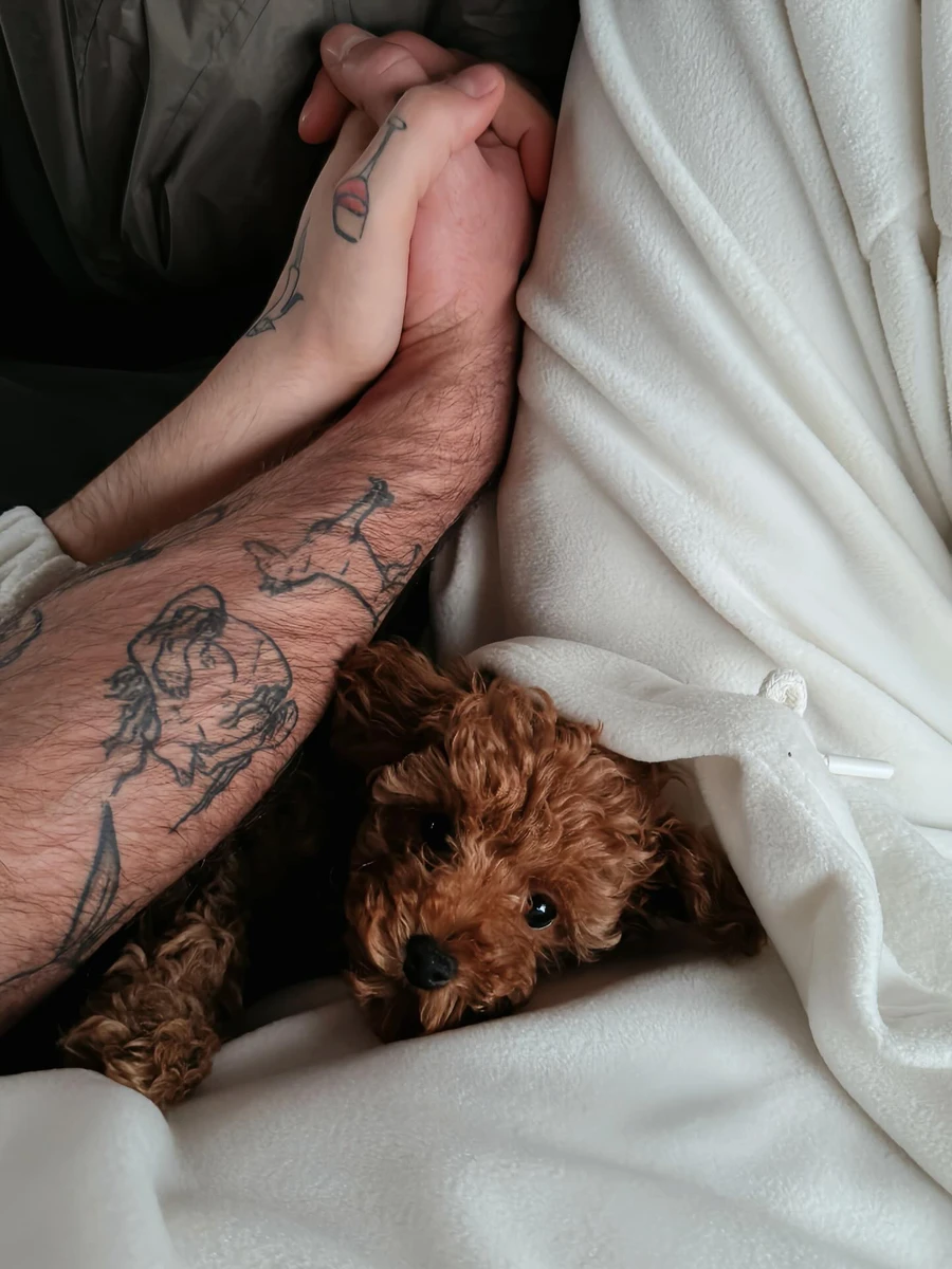 Таке маля тепер житиме у Меловіна та його нареченого 