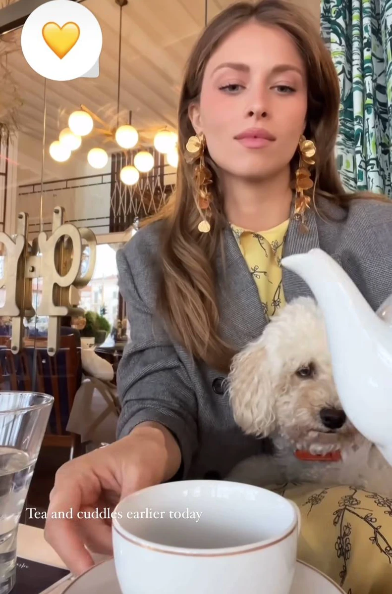 До речі, Софія не вперше вигулює сукню бренду хрещеної