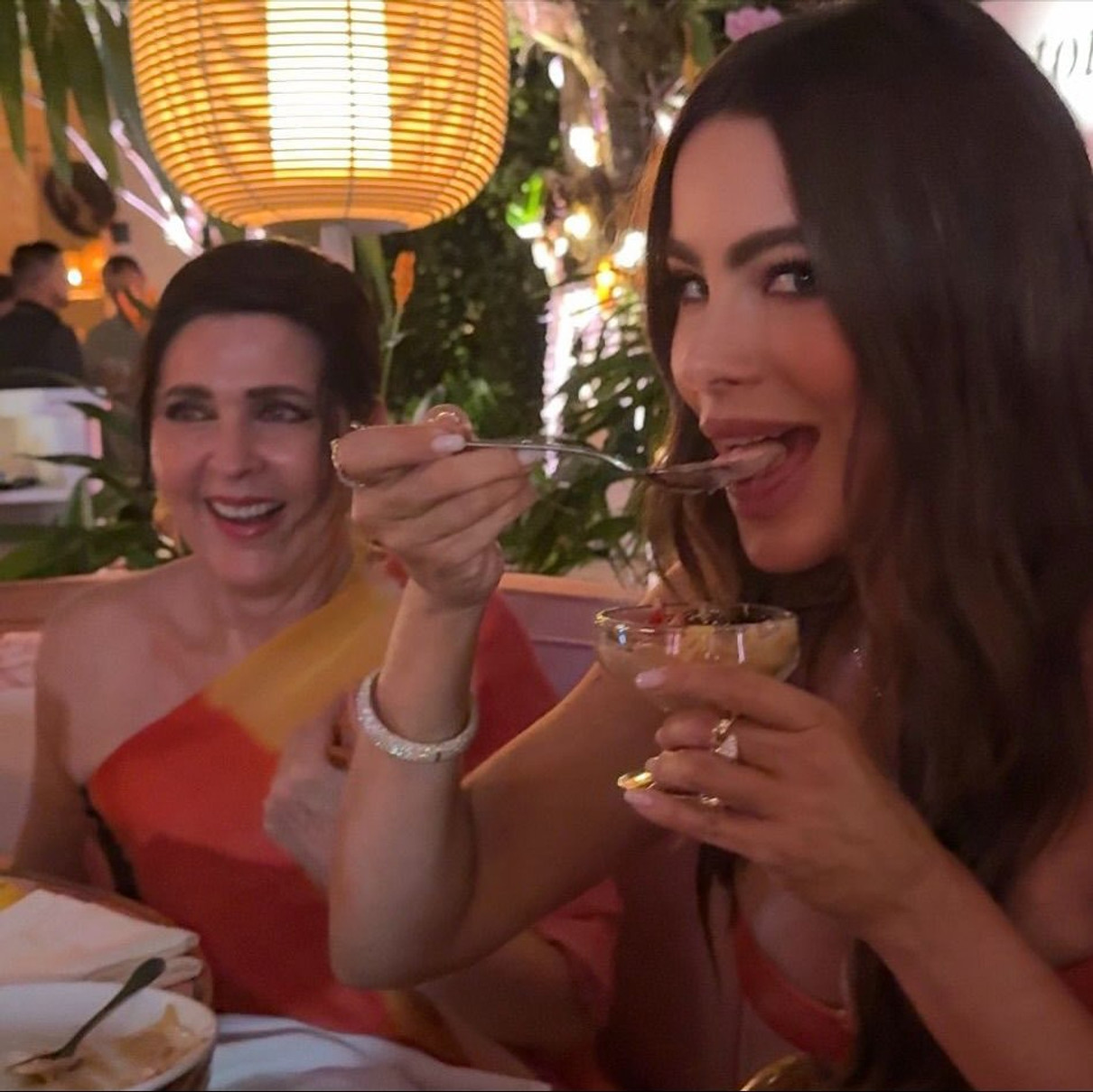 Софія Вергара наробила веселих фото на своїй вечірці в Маямі