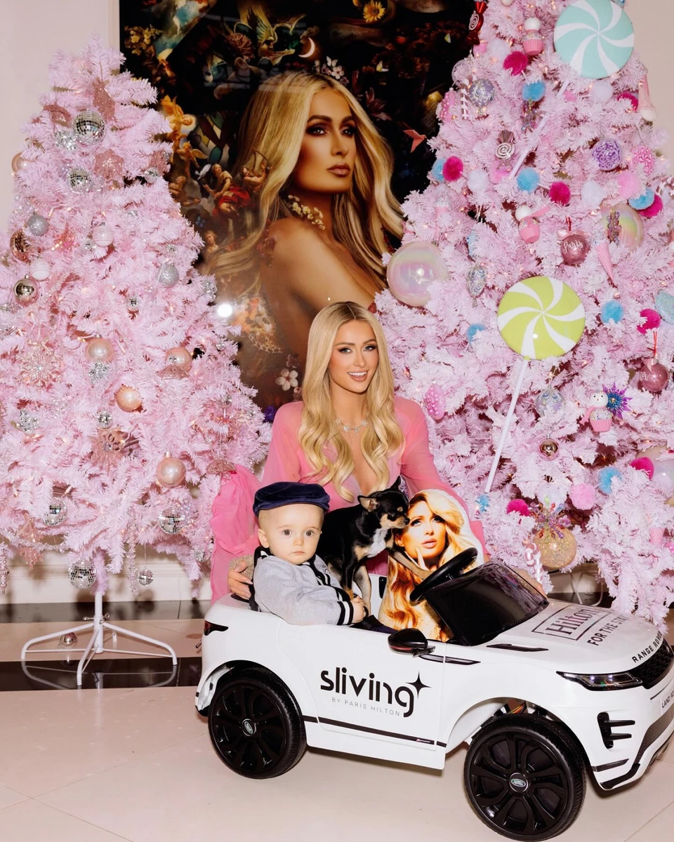 Схоже, песик поки не знає, в кого просити їсти...