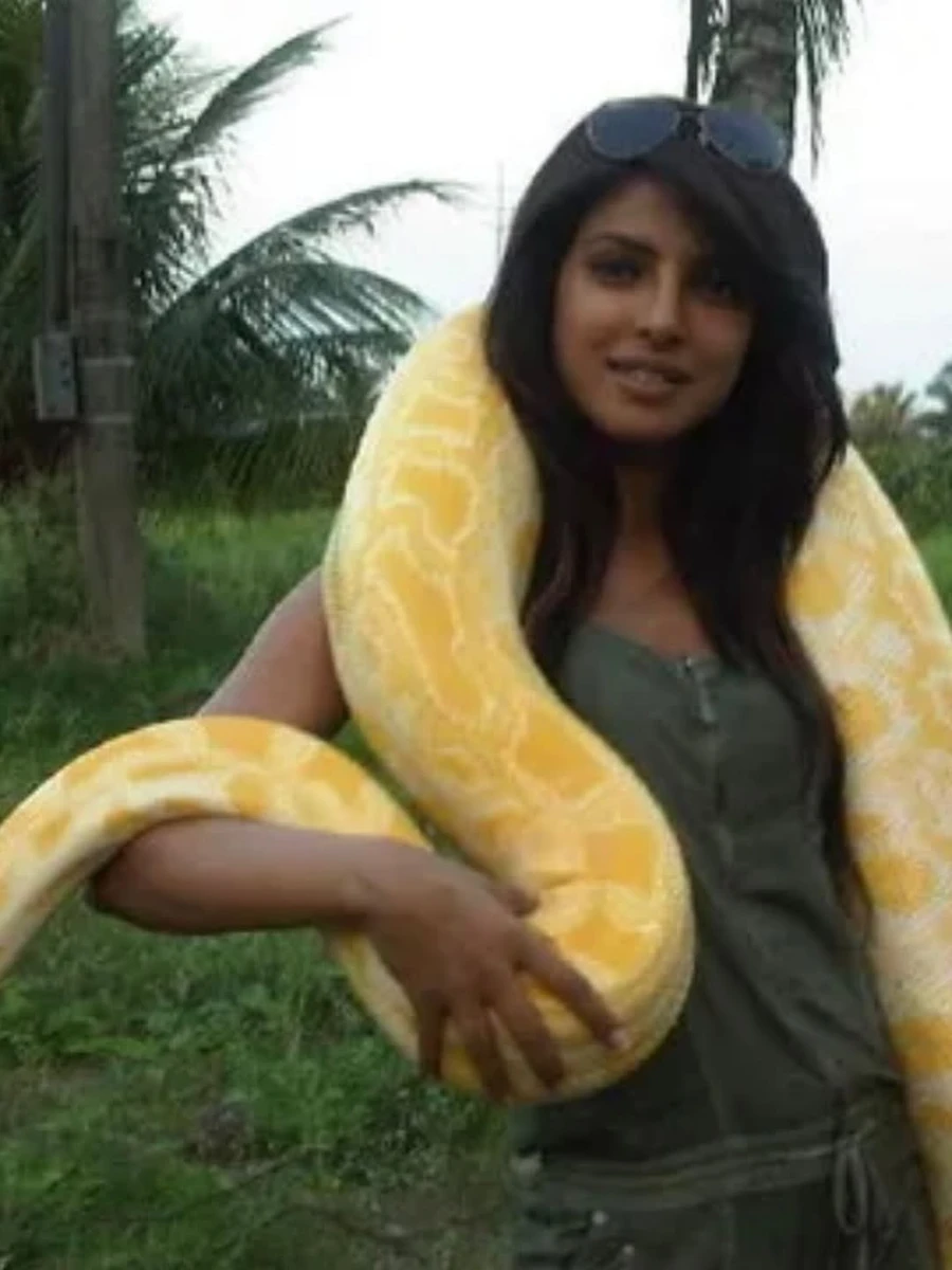 Пріянка Чопра показала незвичні фото з пітоном на шиї