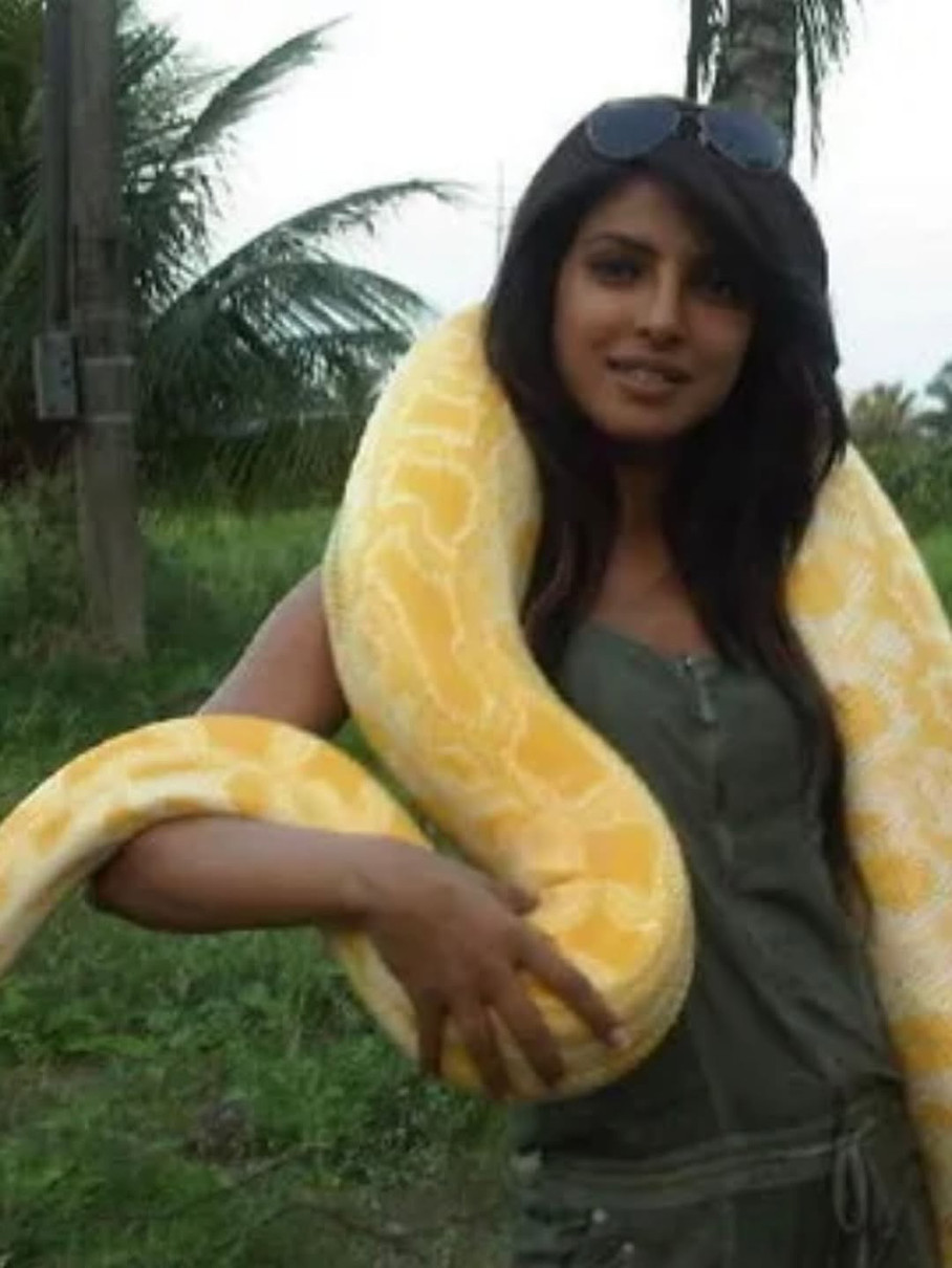 Пріянка Чопра показала незвичні фото з пітоном на шиї