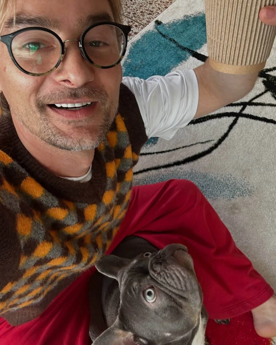 Французький бульдог Алана Бадоєва