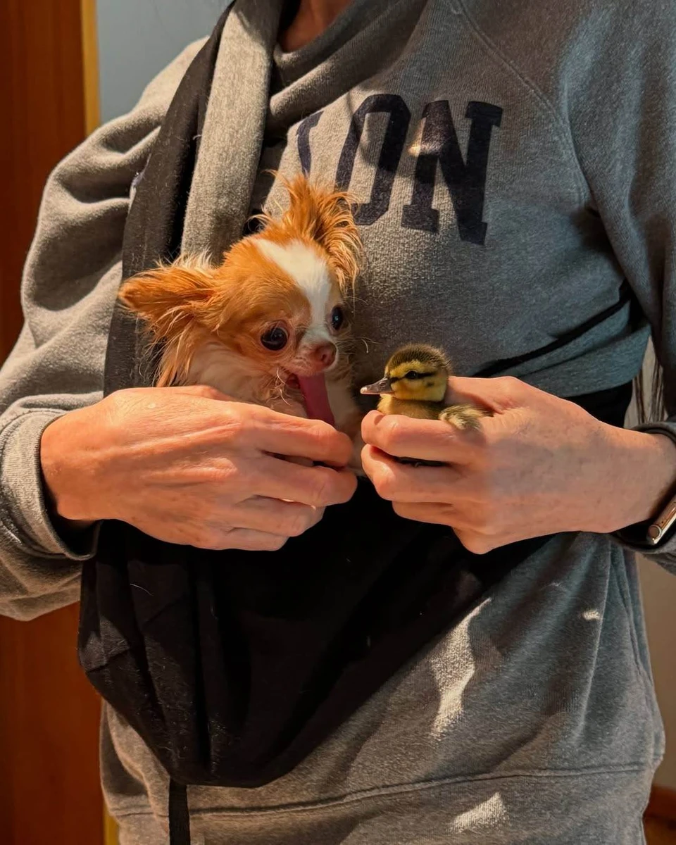 Демі Мур в інстаграм