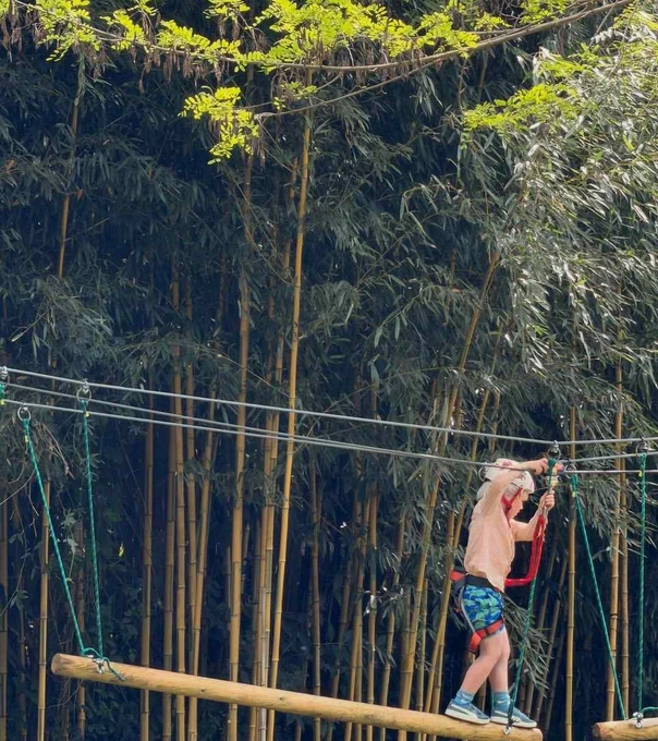 Син Бориса Джонсона