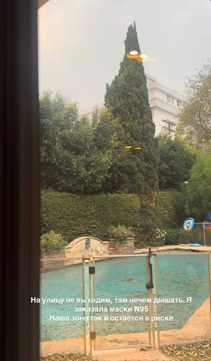 Шульгіна про пожежі