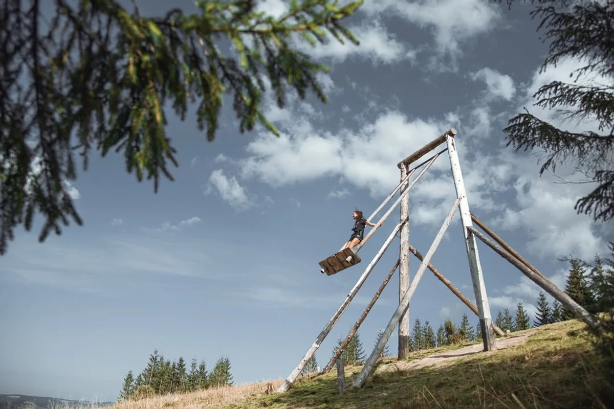 Руслана на гойдалці в Карпатах