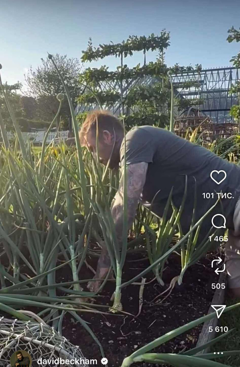 Бекхем показує свій город