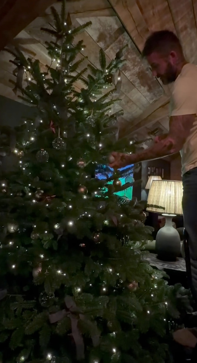 Девід Бекхем похвалився прикрашено ялинкою на Різдво