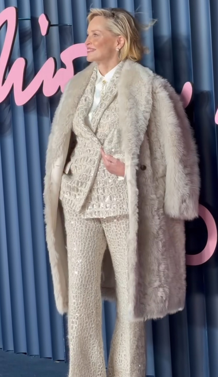 Шерон Стоун ефектно попозувала у блискучому луці на British Fashion Awards