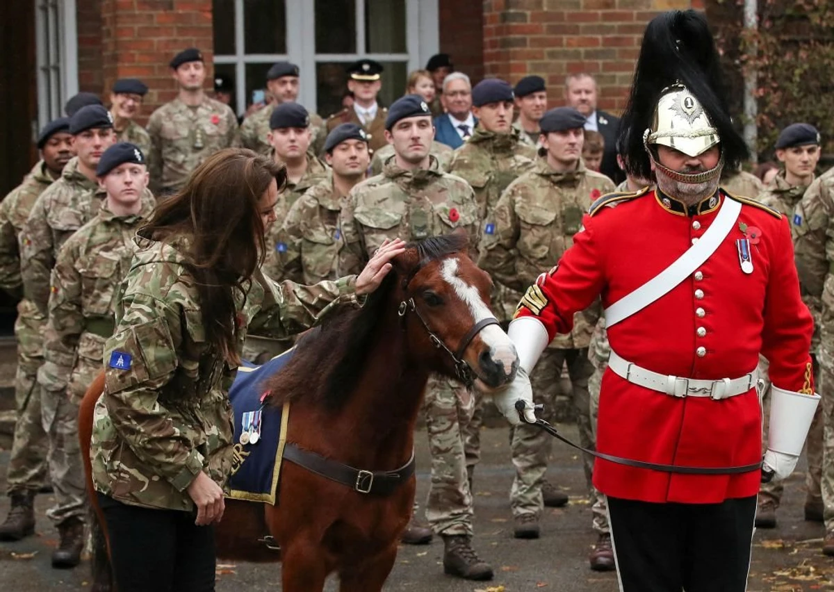 Вітаю, конячко, тепер ти капрал