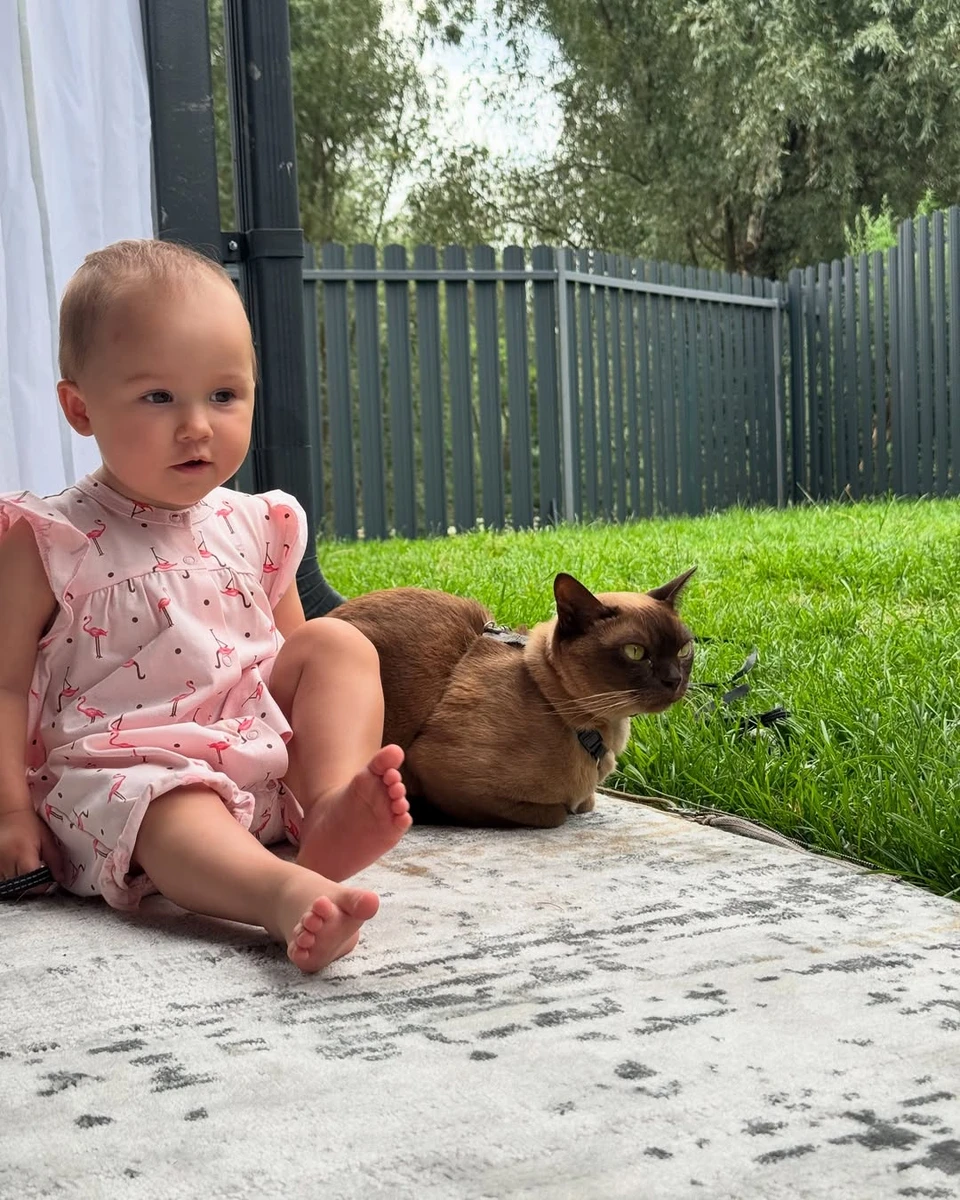 Наталія Татарінцева показала 1-річну донечку з котом