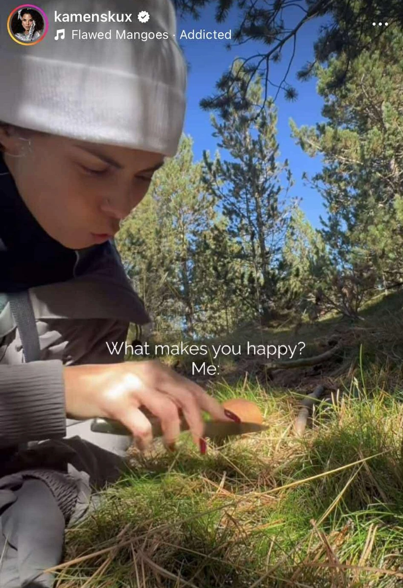 Настя обережно ножем зрізала грибочок 