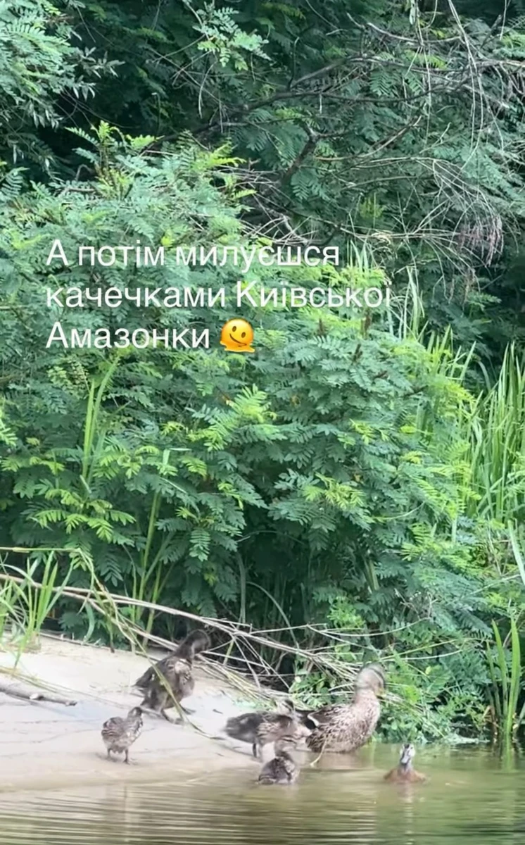 Качечки на Дніпрі
