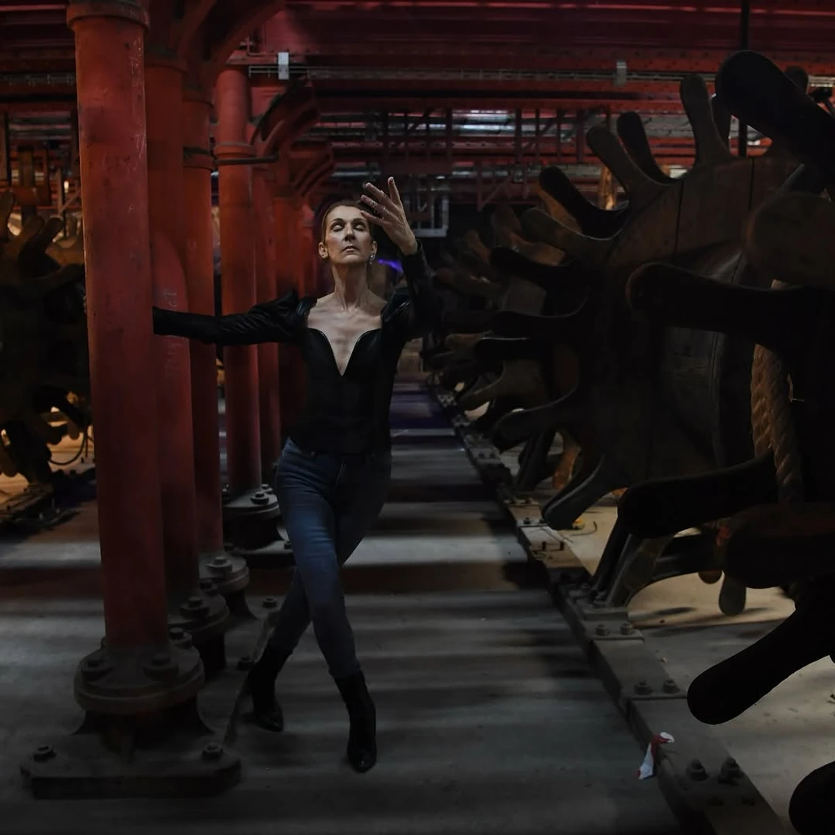 Селін Діон в обтислих штанях з декольте попозувала в Опері