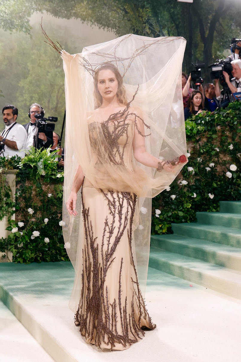 Лісова царівна Лана Дель Рей у Alexander McQueen на цьогорічному балу може позмагатися за звання найкреативнішого луку. При створенні її образу автори надихалися витворами з колекції Fall/Winter 2006 Alexander McQueen
