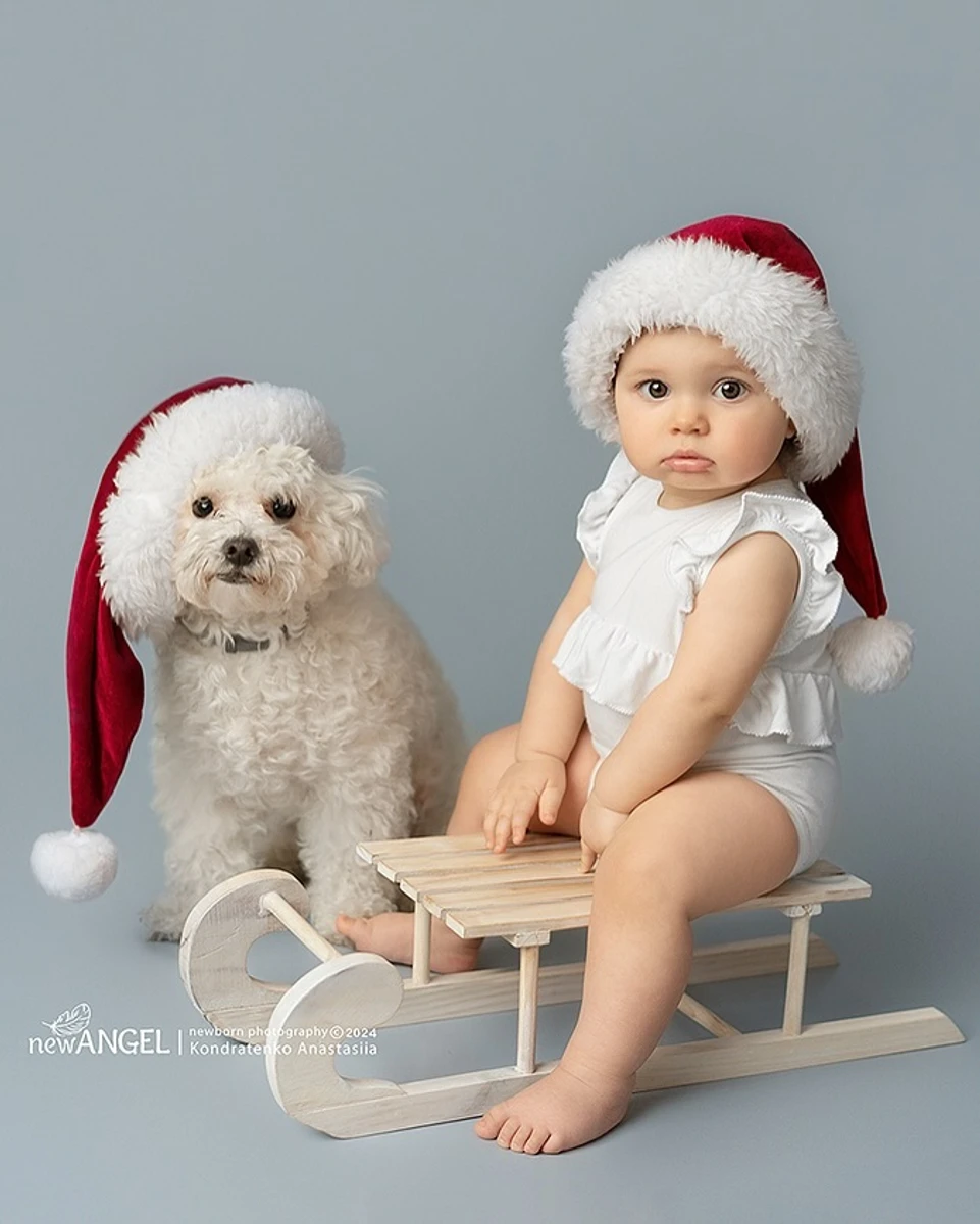 Песику теж дали шапку Санти