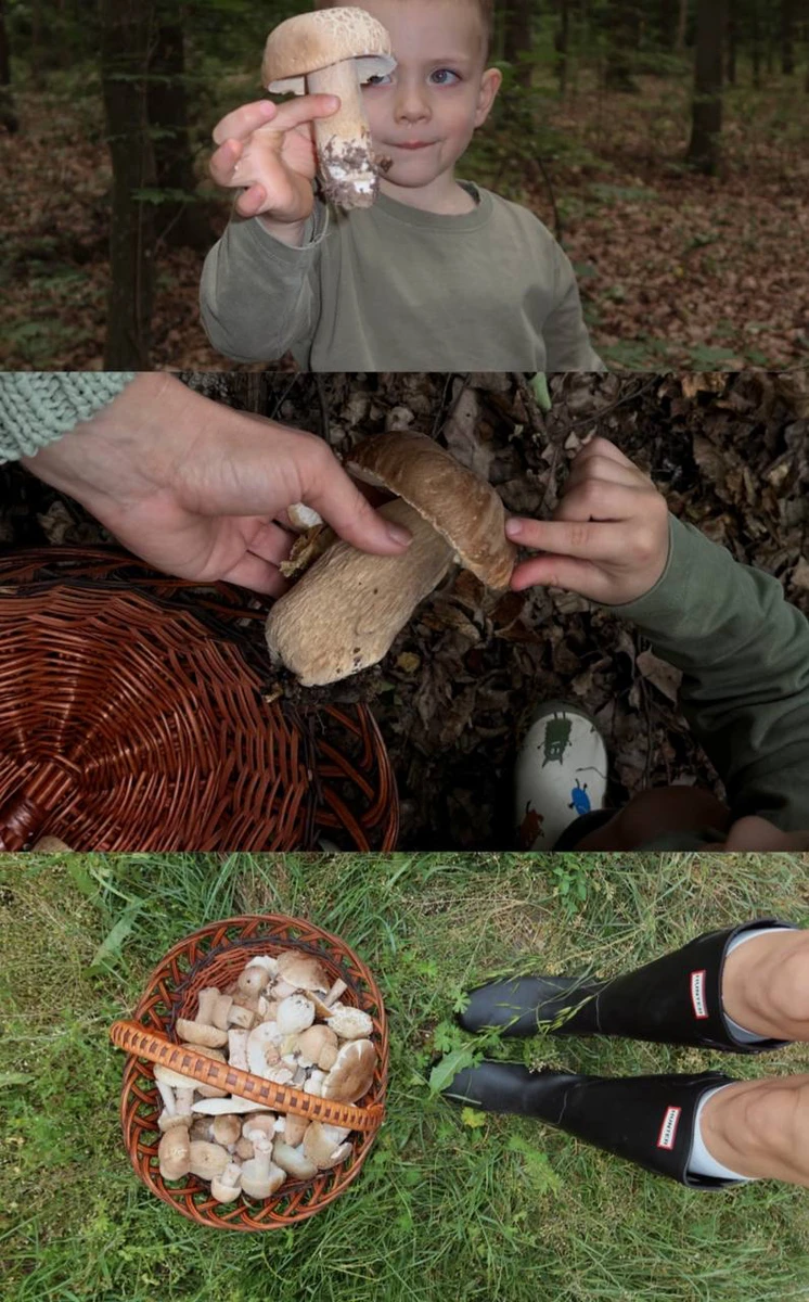 Маремуха з сином позбирали гриби