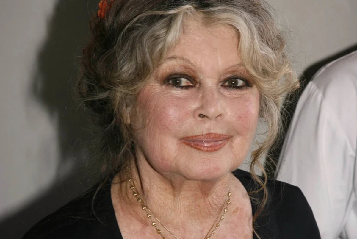 Бріжит Бардо та її гучні романи