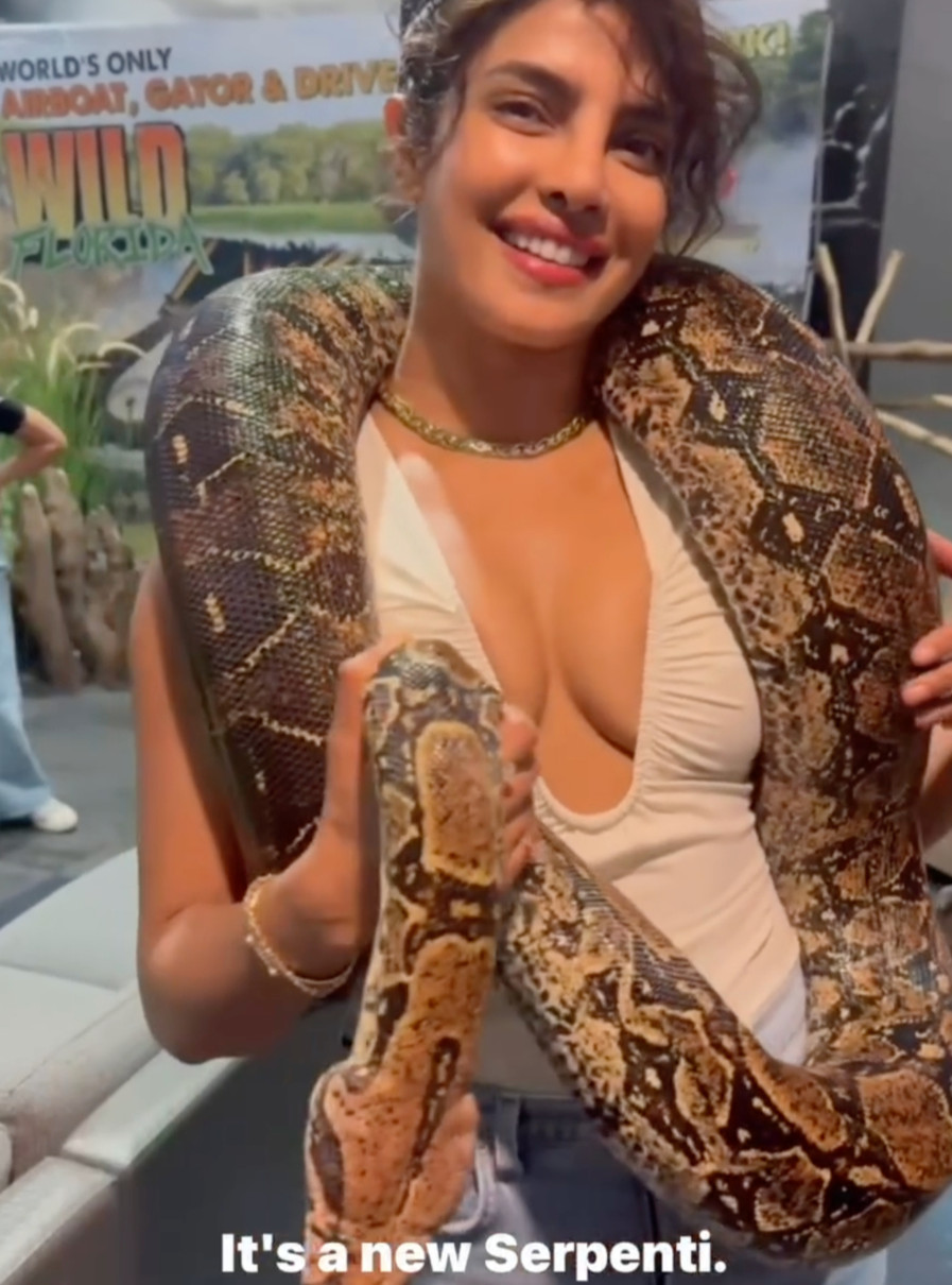 Пріянка Чопра наробила ефектних фото з пітоном
