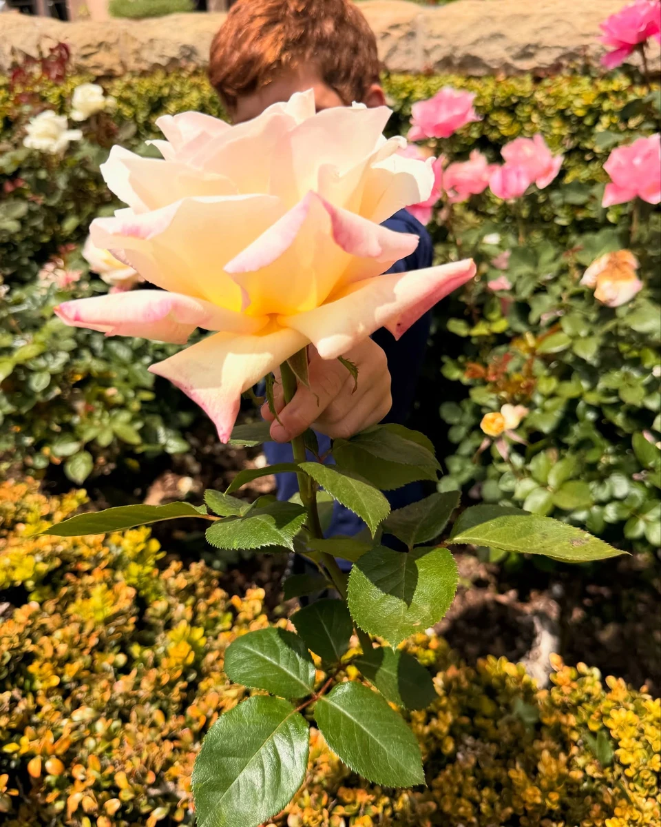 Син Меган Маркл і принца Гаррі