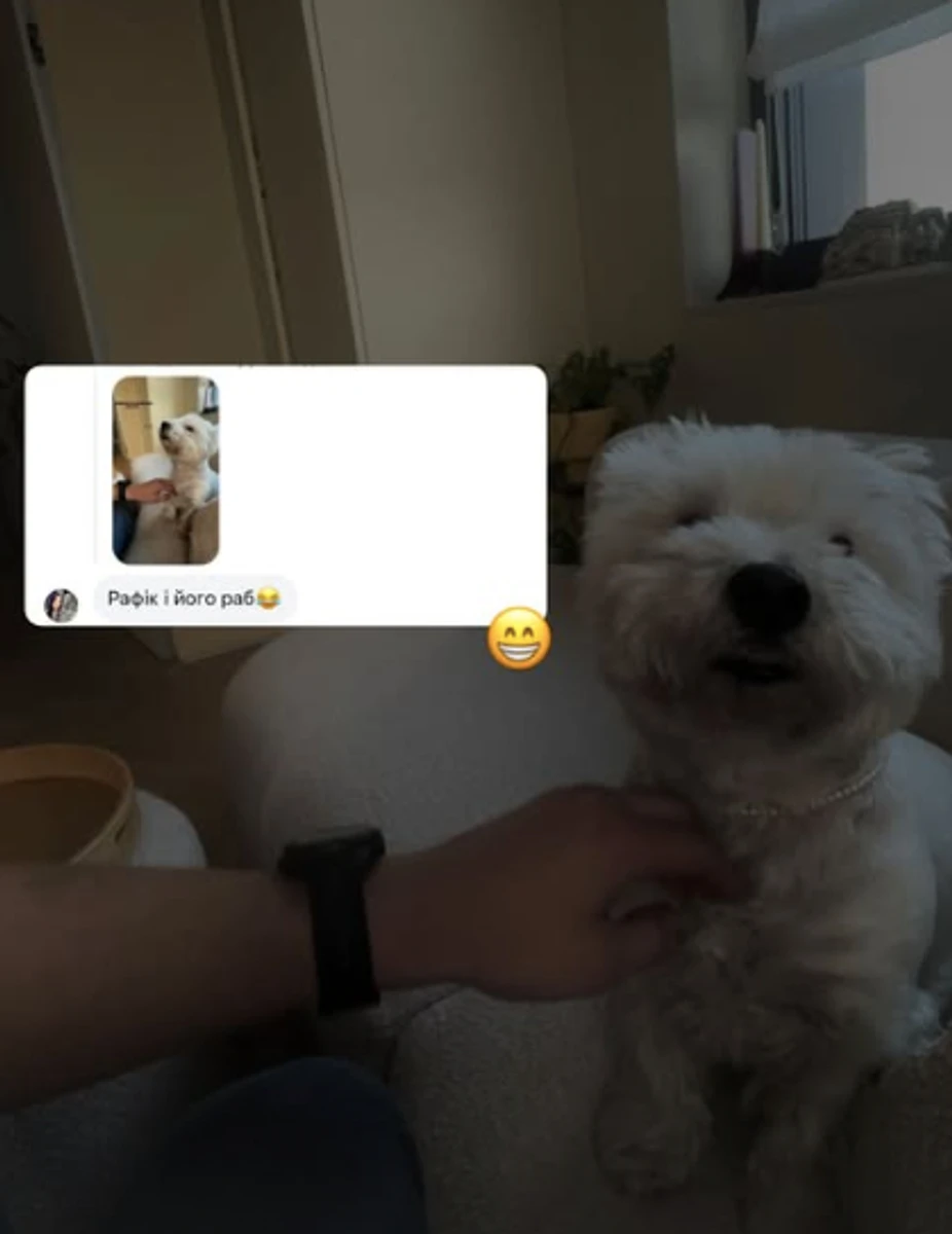 Фанам Нікітюк сподобалася взаємодія її коханого та песика