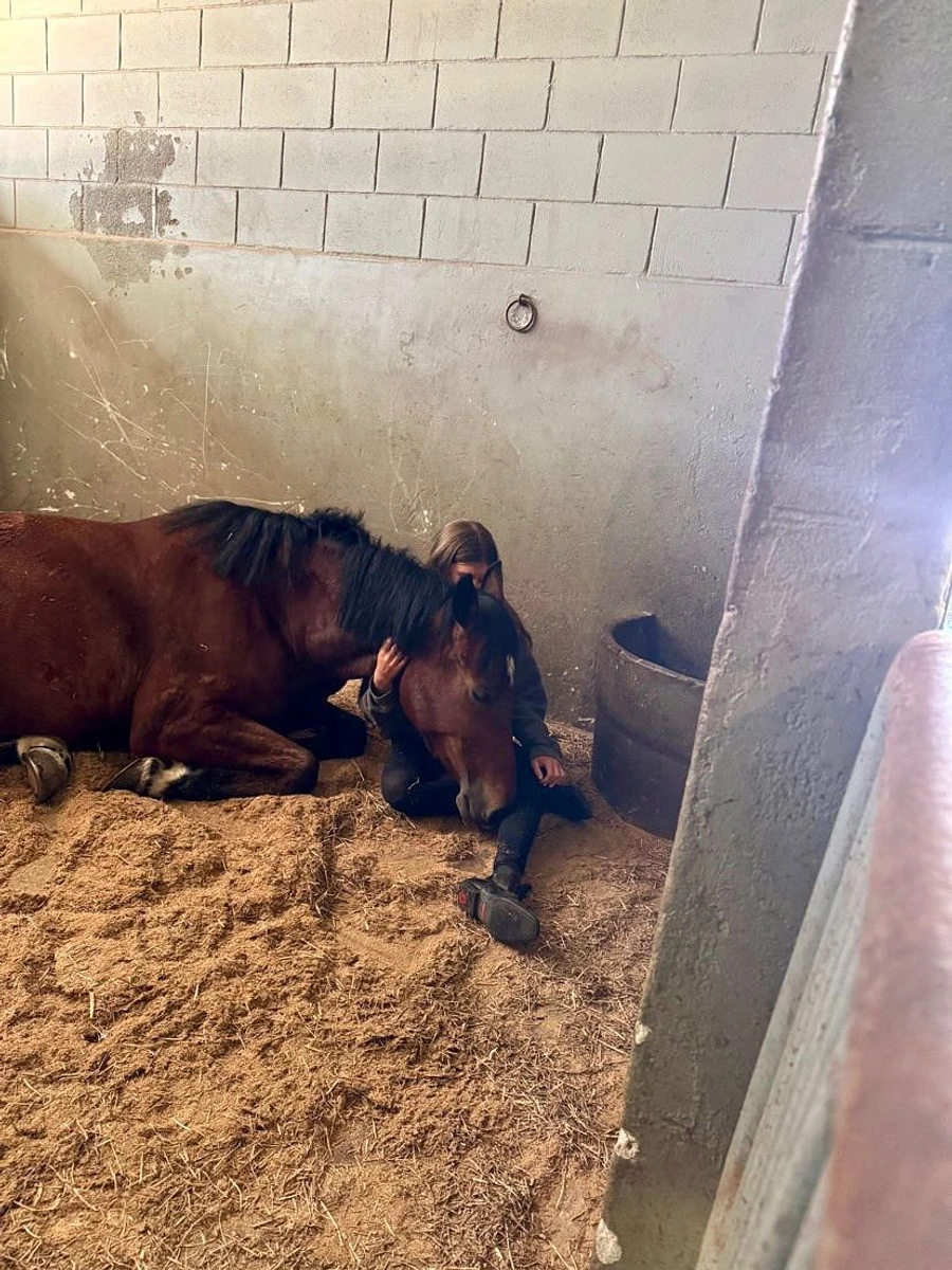 Жізель Бюндхен показала свою дочку біля коня на ранчо