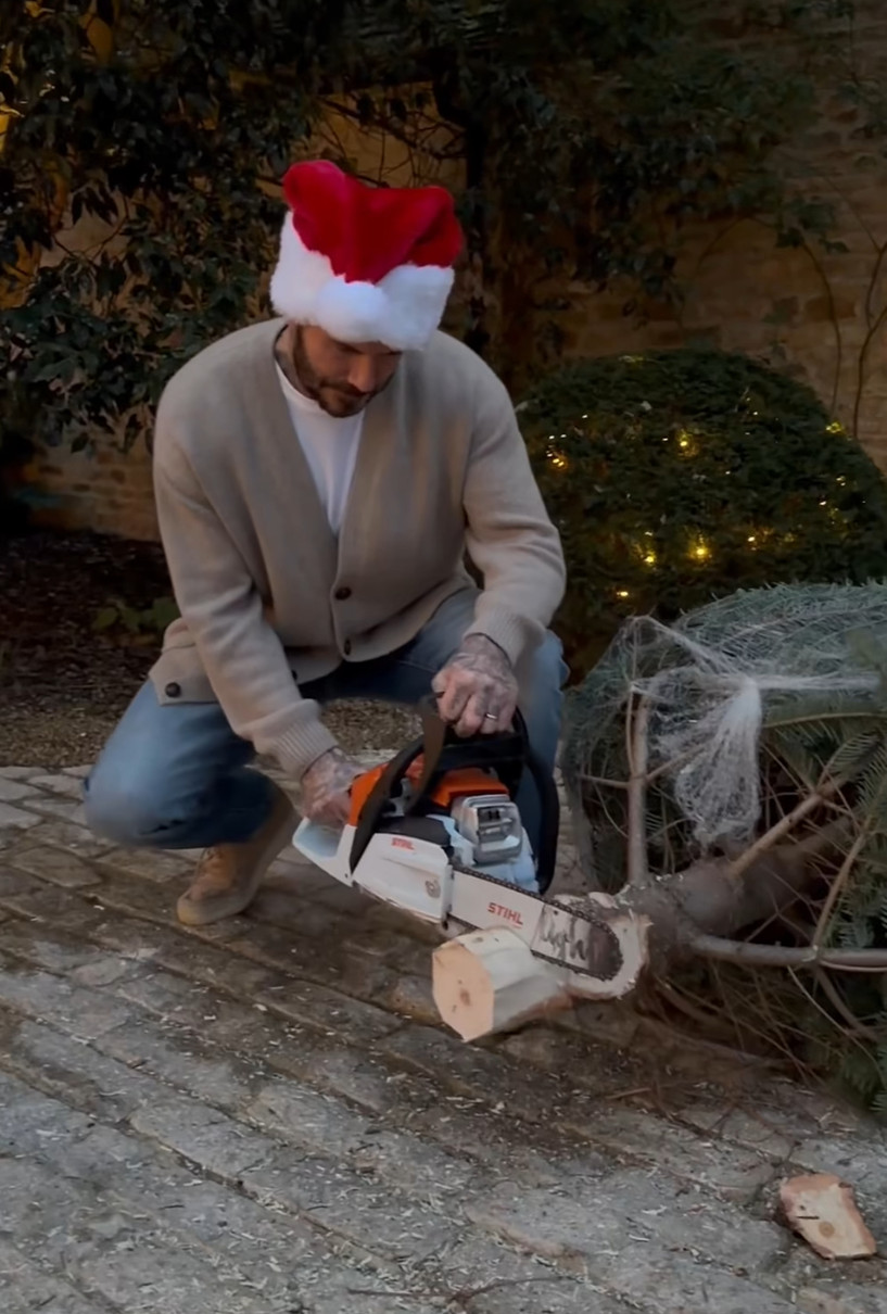 Девід Бекхем пилою підрізав різдвяну ялинку