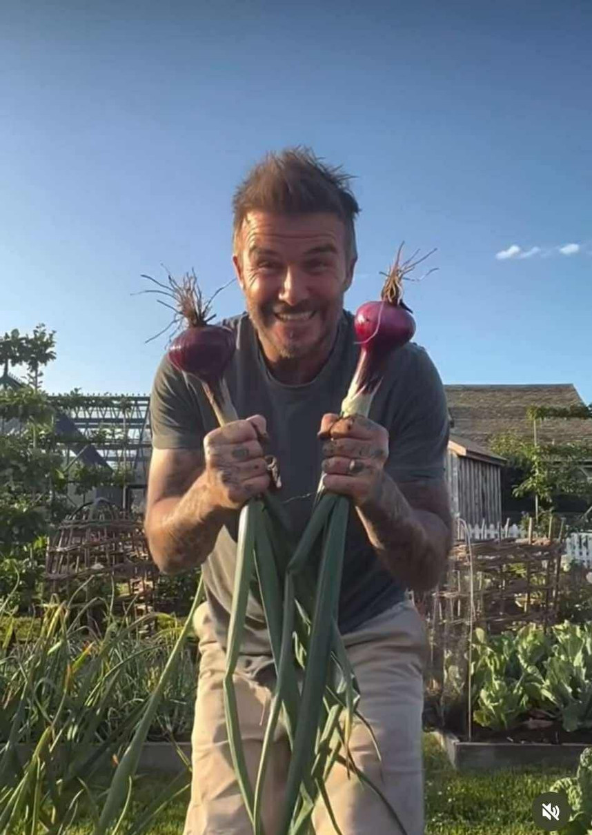 Бекхем та його цибуля