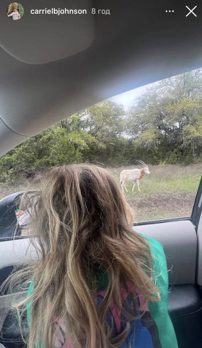 Дружина Бориса Джонсона в Instagram