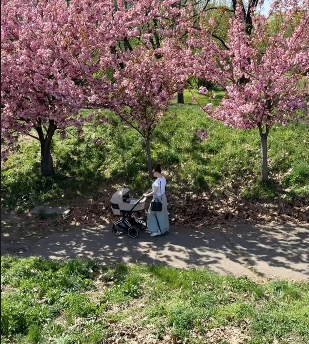 Олексій Завгородній показав дружину і дочку в парку