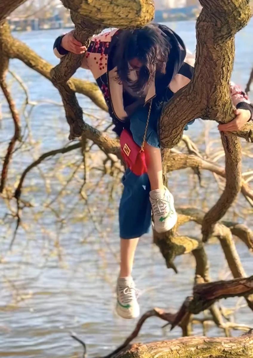 Ексдружина Кличка вилізла на дерево