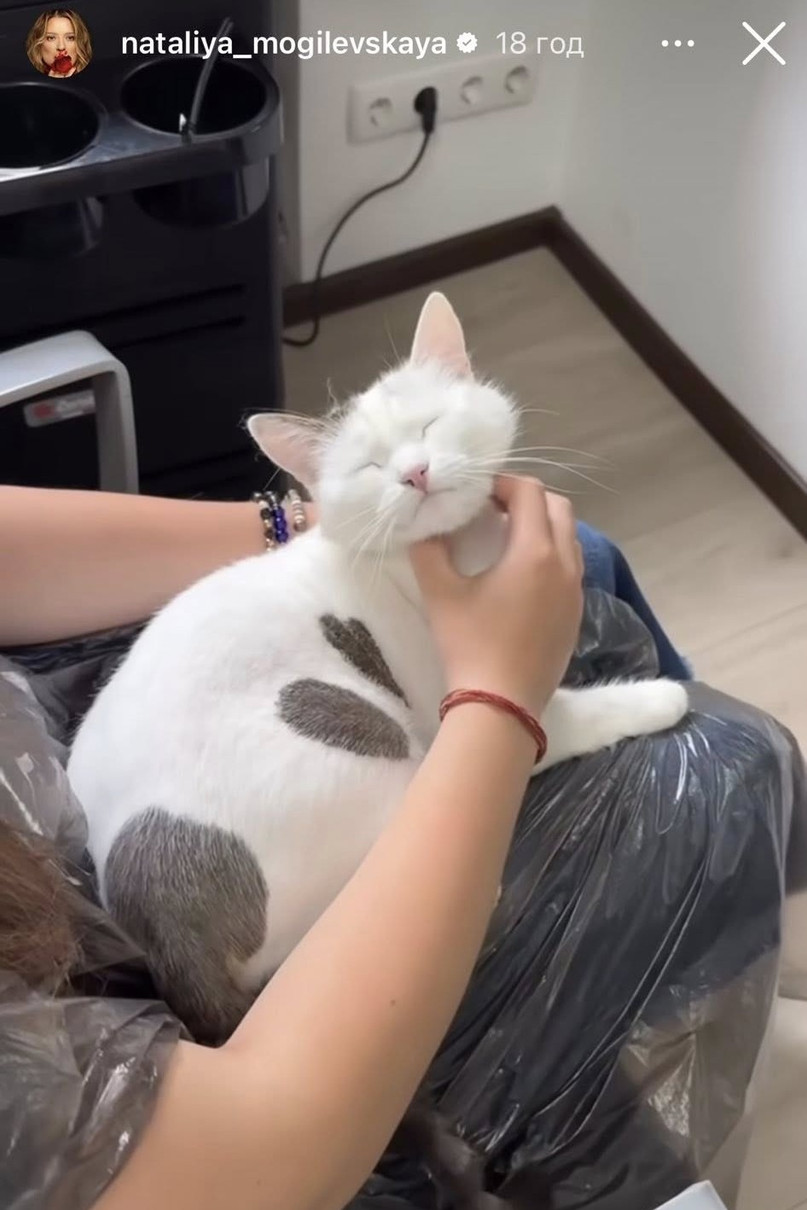 Мішель і асистент колориста