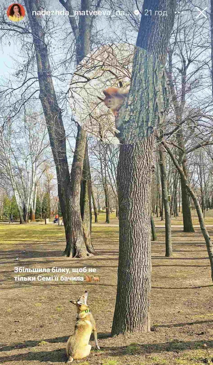 Собака Надії Матвєєвої