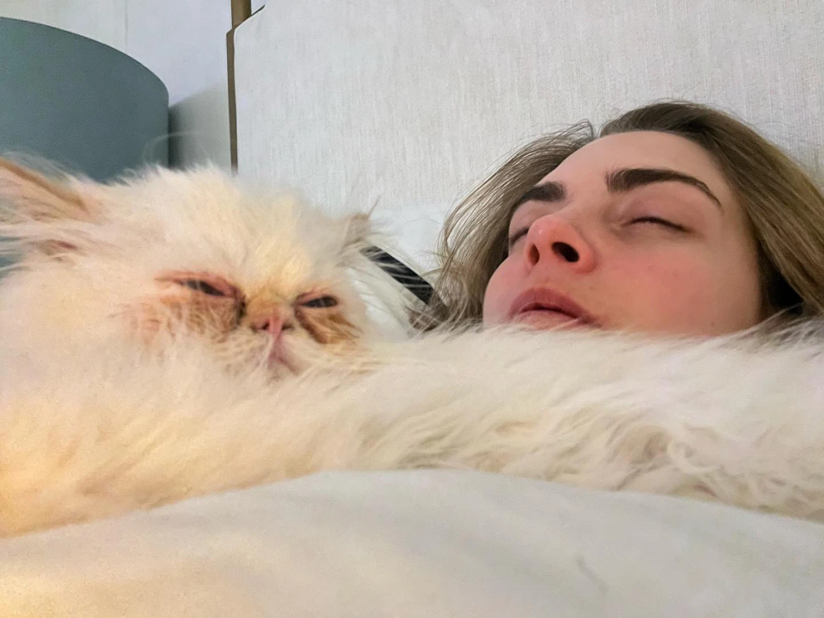 Не дарма кажуть, улюбленці схожі на господарів