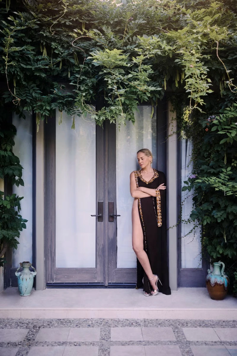 Шерон Стоун захопила своїм виглядом у сукні з розрізом